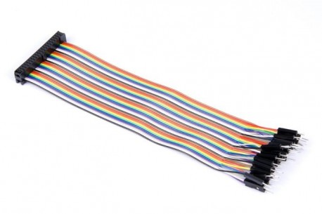 40p Rainbow IDC connector to Male Jumperwires 20cm